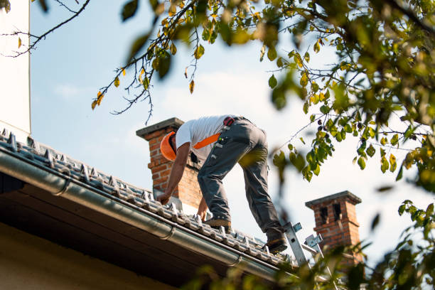 Best Metal Roofing Contractor  in Greenville, MI