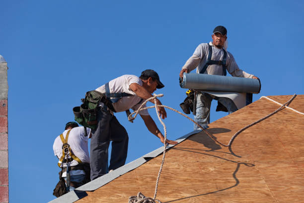 Best New Roof Installation  in Greenville, MI
