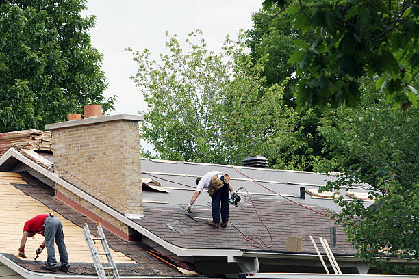 Best New Roof Installation  in Greenville, MI
