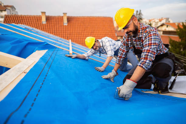 Best Roof Gutter Cleaning  in Greenville, MI