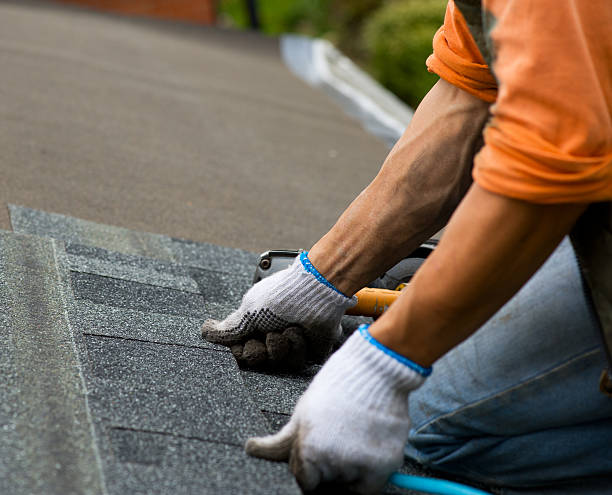 Best Commercial Roofing Services  in Greenville, MI