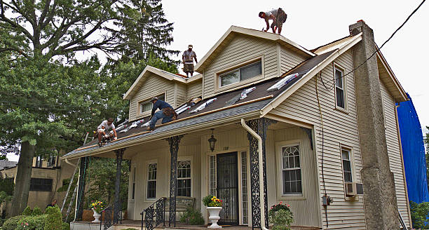 Best Emergency Roof Repair  in Greenville, MI