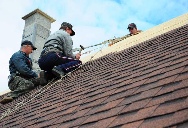 Best Storm Damage Roof Repair  in Greenville, MI