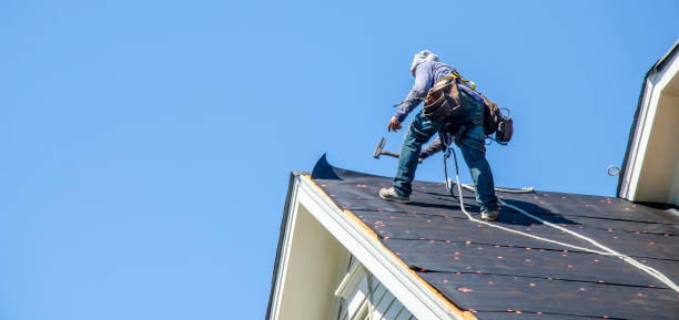 Best Roof Waterproofing Services  in Greenville, MI